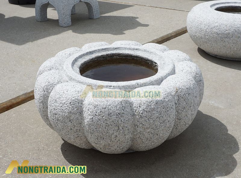 Chum nước tiểu cảnh Kiku Chozubachi, Stone Tsukubai Water Basin