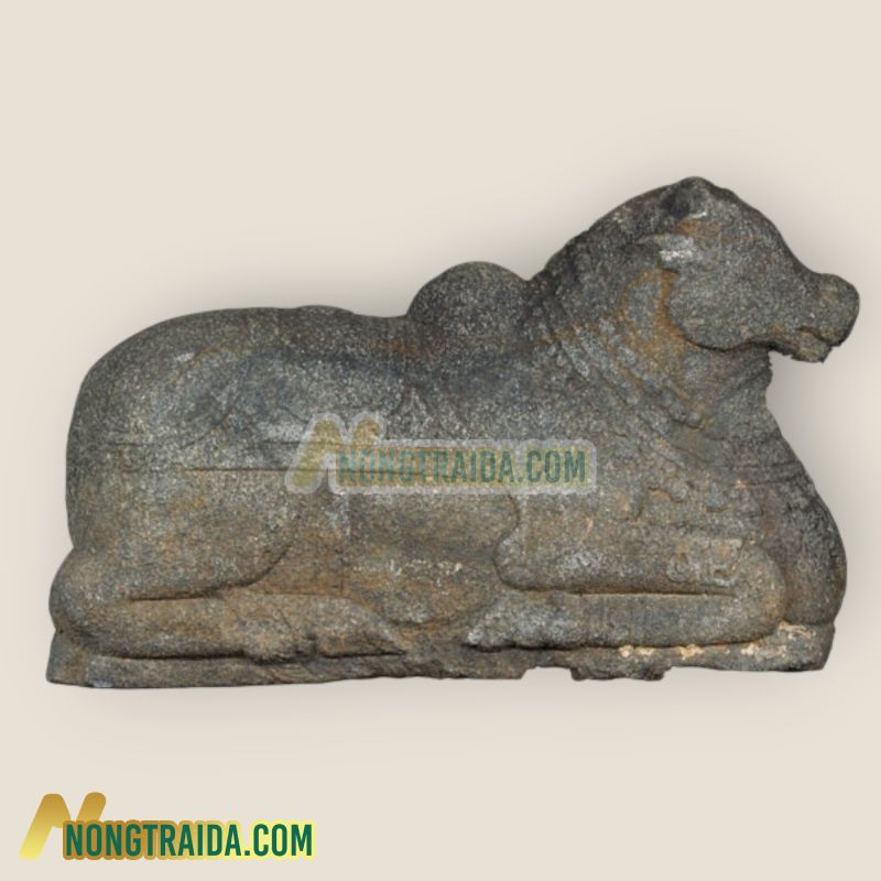 Tượng Nandi cổ xưa từ đá granite Ấn Độ thế kỷ 13-14, hiếm có, nằm nghỉ 76cm