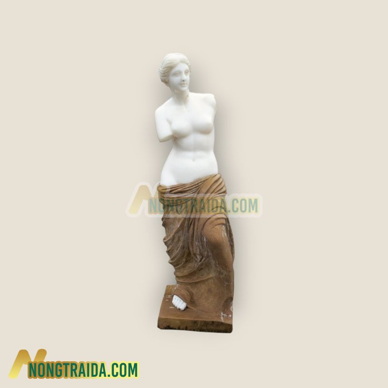 Tượng Venus de Milo, bằng đá cẩm thạch trắng Carrara và đá vôi nâu