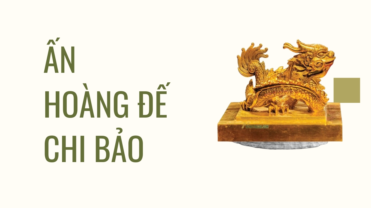 Ấn Rồng Hoàng Đế Chi Bảo: Di Vật Quyền Lực Với Thời Gian