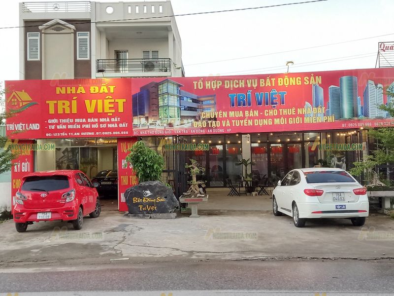 Bảng Hiệu Đá Lũa Đen BĐS Trí Việt