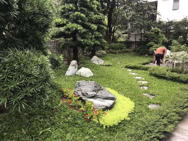 [Dự Án] Sân vườn phong cách Nhật Bản