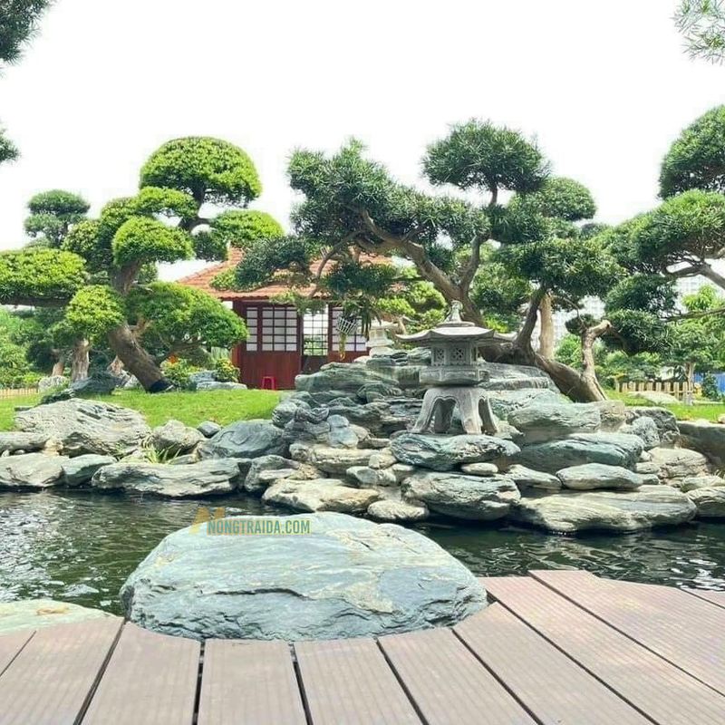 Hòn Non Bộ Sân Vườn Đá Xanh Nhật Bản 0.97M
